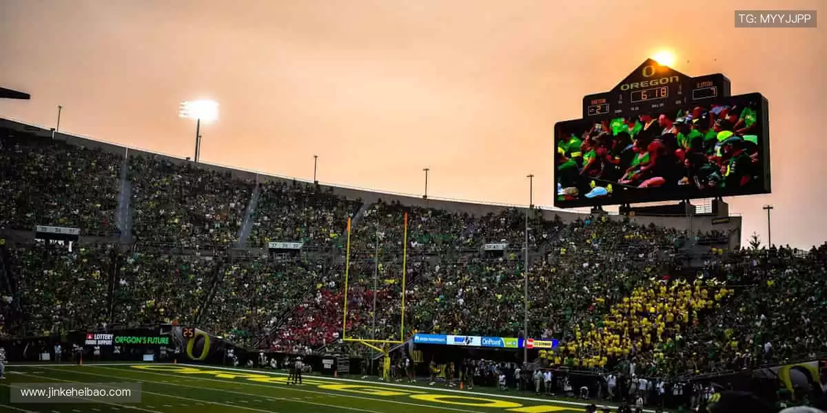 一键解锁全球赛事,让热爱永不缺席⚽️